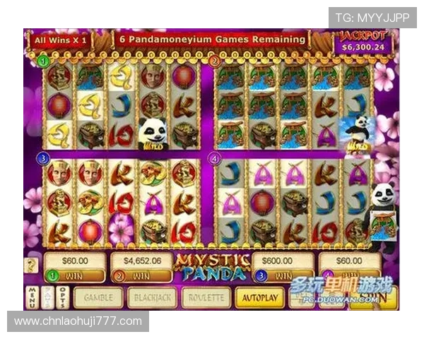 选择老虎机官网地址时需注意的几大要点，提升游戏体验